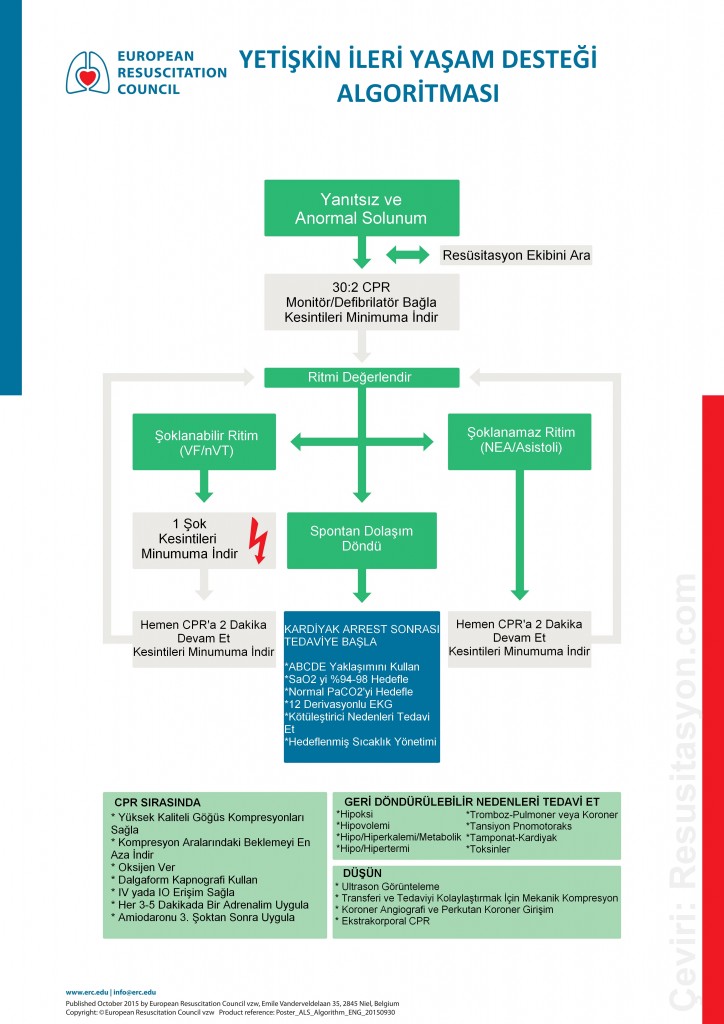 2015 ERC Yetişkin İleri Yaşam Desteği Algoritması Türkçe
