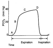 capnography